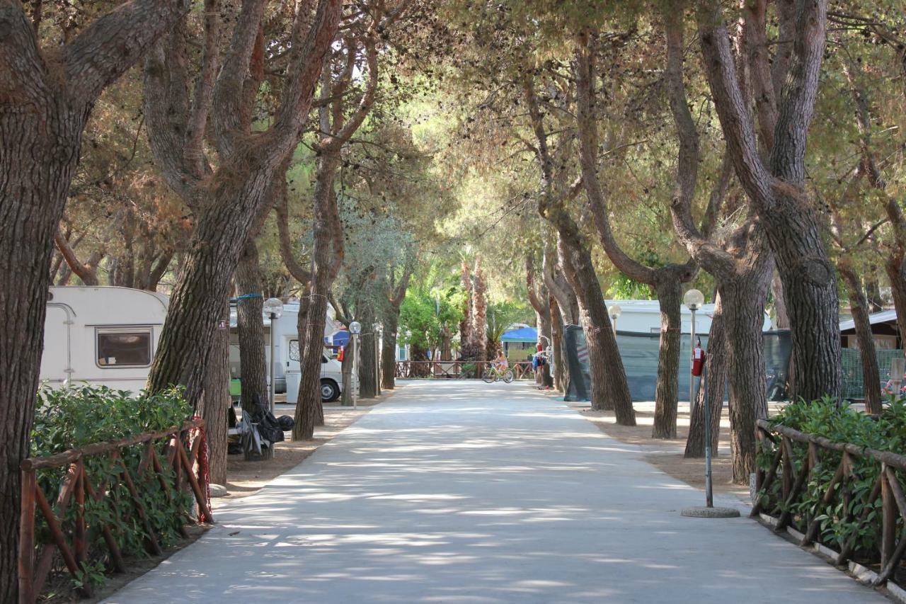 رودي غارغانيكو Residence Village Lido Del Gargano المظهر الخارجي الصورة
